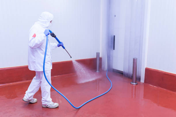 Best Building Exterior Washing  in Belford, NJ